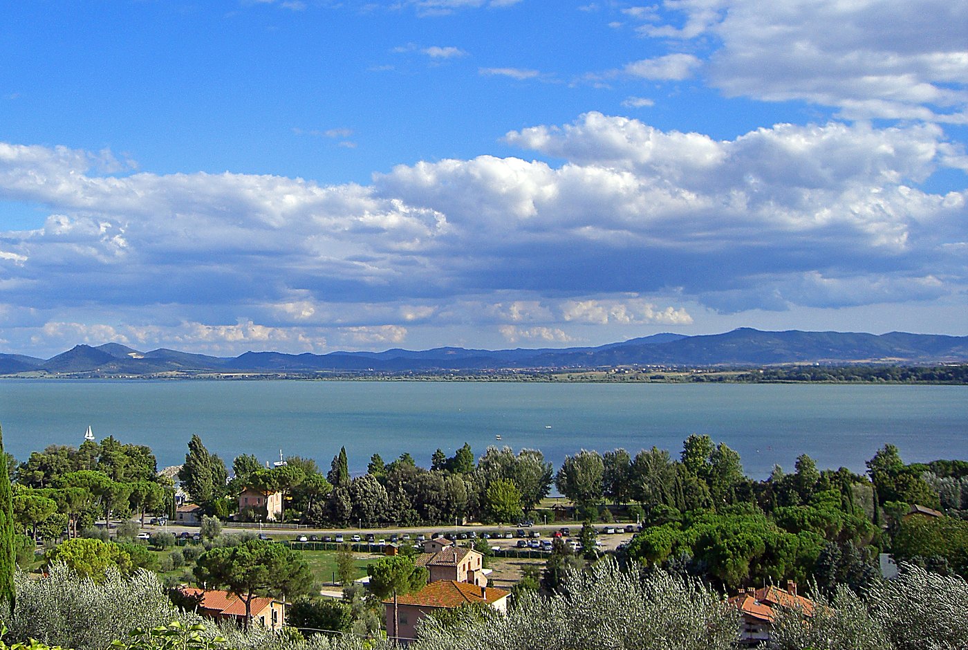 Het meer van Trasimeno met olijfgaarden op de voorgrond en heuvels aan de horizon