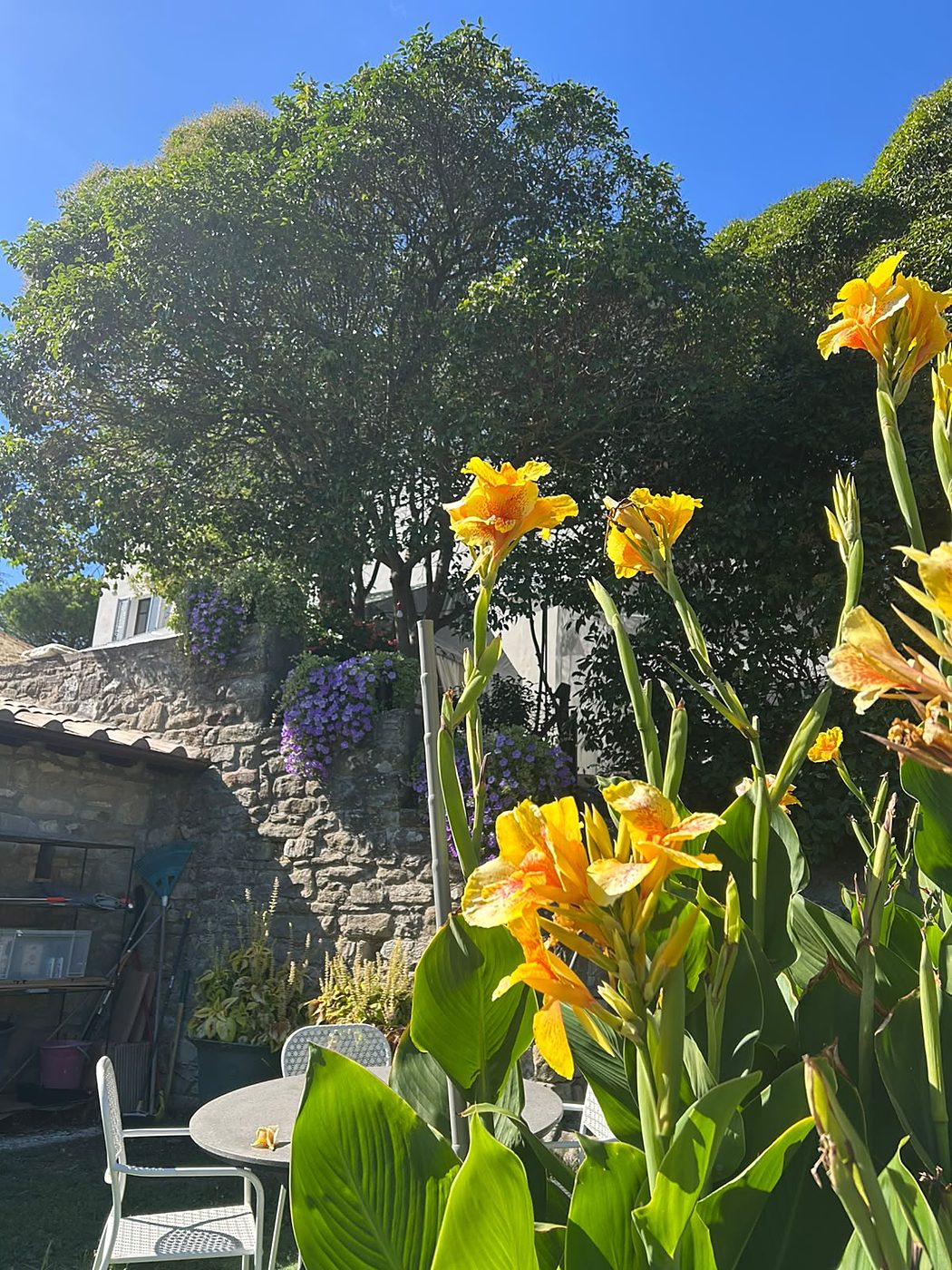 Felgele bloemen op de voorgrond, met een zitje tegen de stenen muur van het terras
